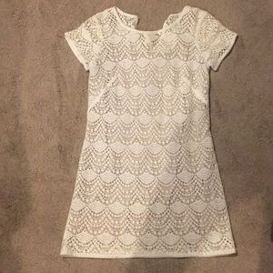 Loft Lace Dress